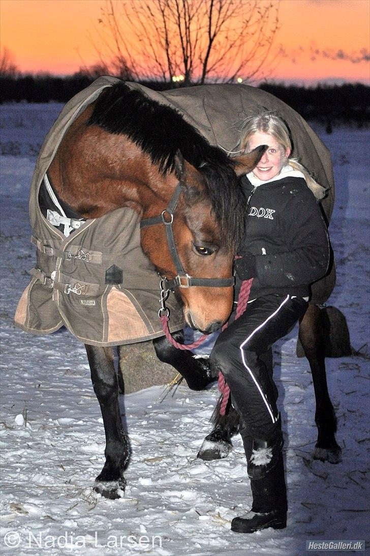 Anden særlig race Shania *part* billede 11