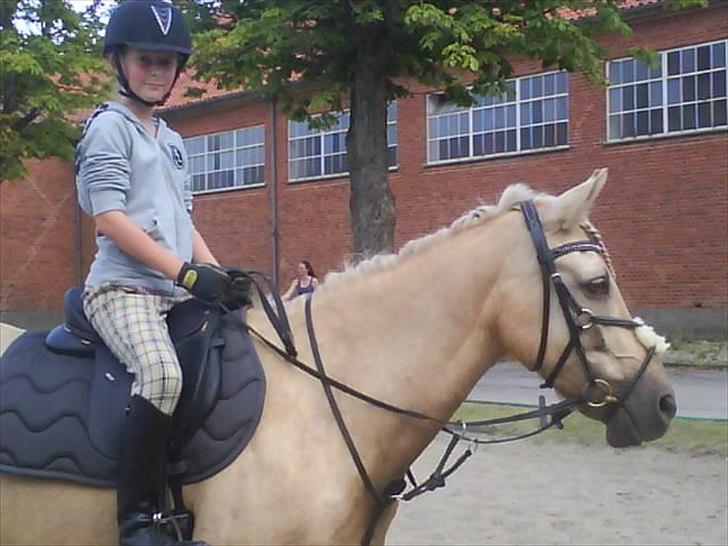 Irsk Sportspony Million Dollar Baby - Mig og Baby juni 2009 jeg har lige fået min prinz mobiloverførsel billede 11