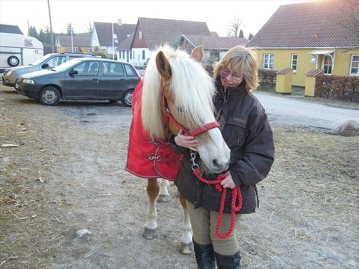 Tyroler Haflinger Kora Elghuset Tidl.part billede 9