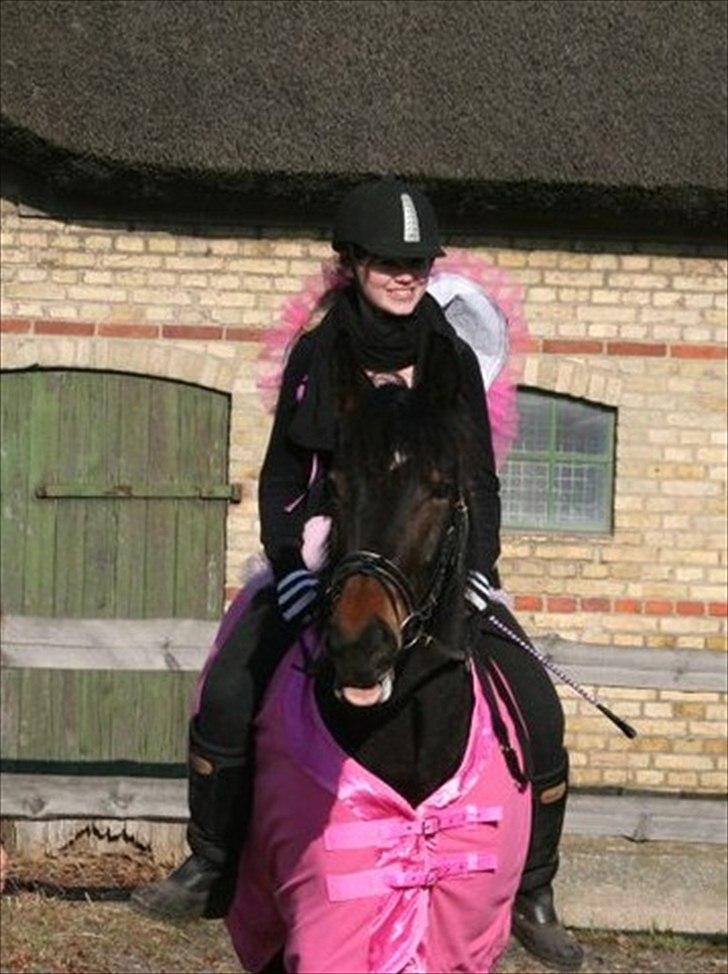 Anden særlig race Flying Maddie - mig og maddie til fastelavn :D<3 vi var sommerfugle d; billede 7