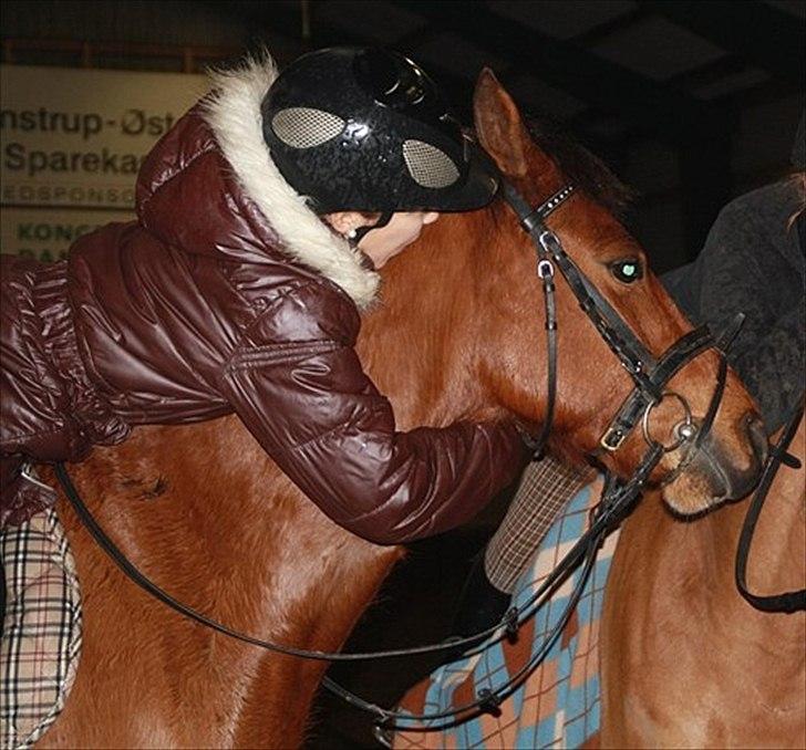 New Forest Filur - B-Pony - :-* billede 7