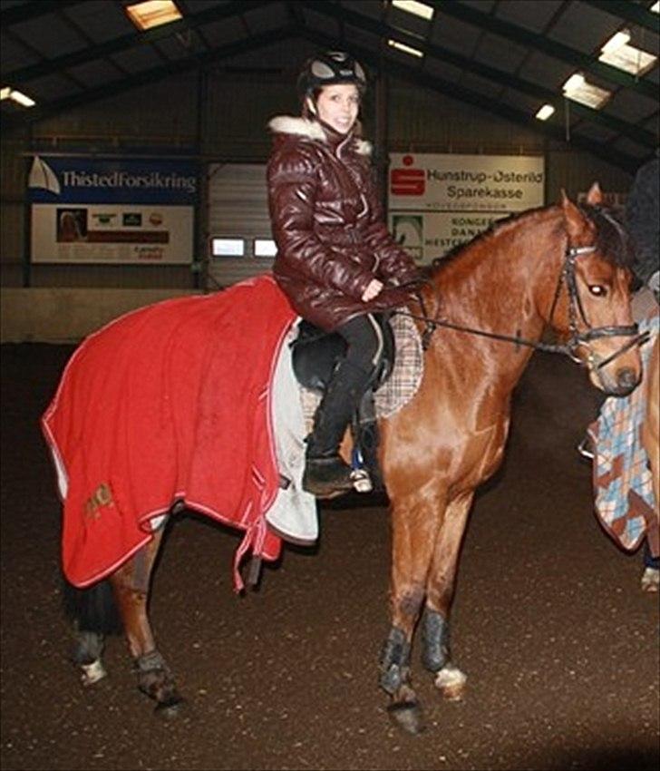 New Forest Filur - B-Pony - <3 billede 9