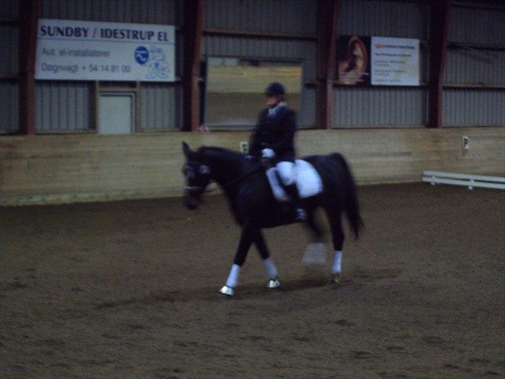 Oldenborg la luna billede 2