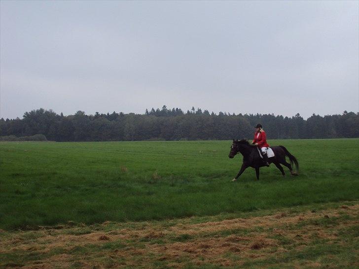 Oldenborg la luna billede 5