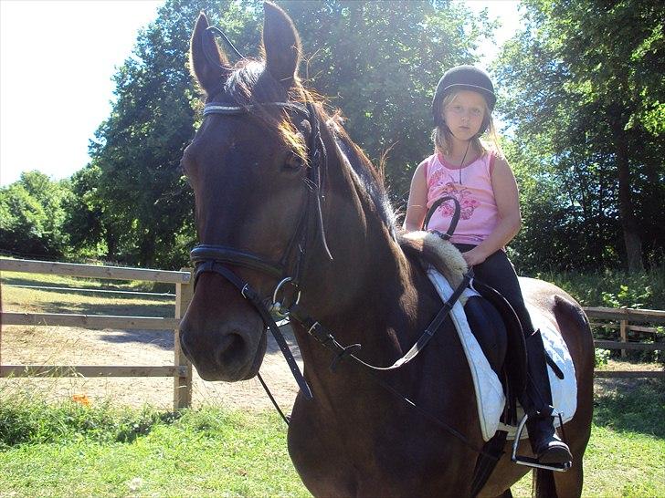 Connemara carat mårsø <3 billede 1