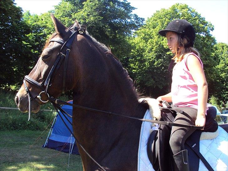 Connemara carat mårsø <3 billede 2