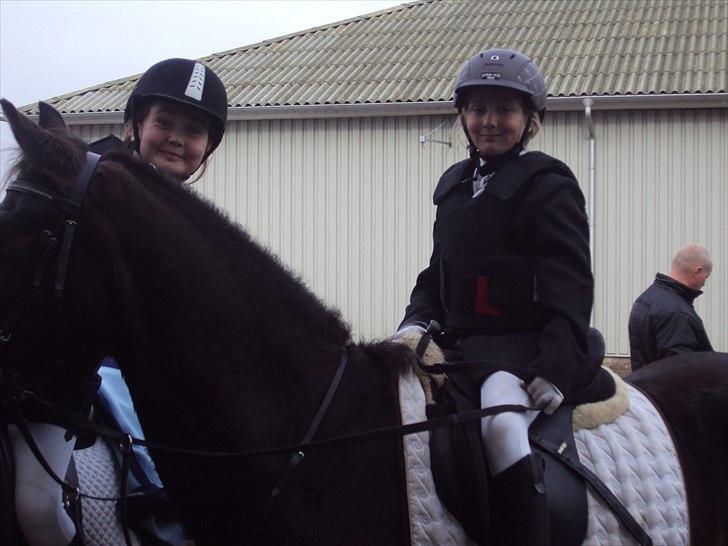 Connemara carat mårsø <3 billede 3