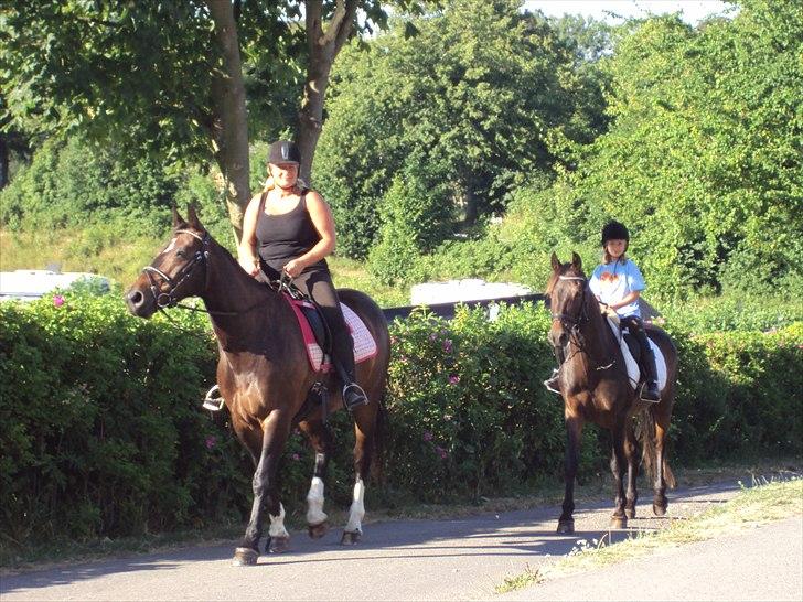 Connemara carat mårsø <3 billede 4