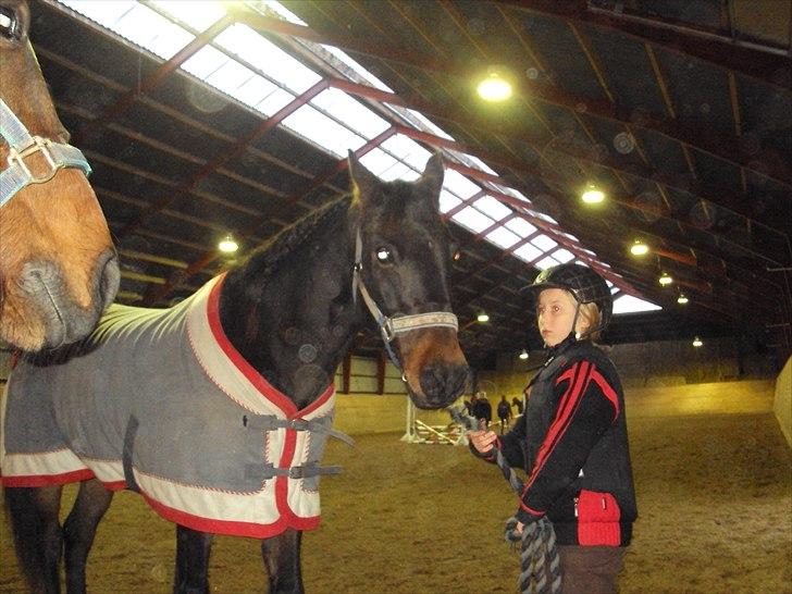 Connemara carat mårsø <3 billede 6