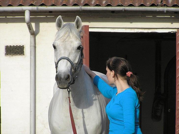 Connemara Rusheen Cuckoo billede 14