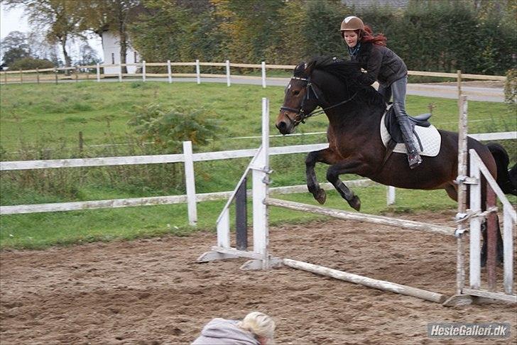 Anden særlig race Cleopratra (springer) billede 9