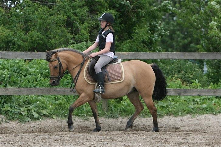 Anden særlig race Smukke Pocahontas!<3 - Du SÅÅÅ dygtig!! ( foto ©AM ) billede 14