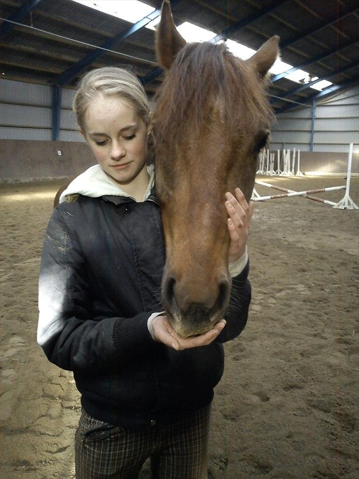 Anden særlig race Zafir - Velkommen til Zafirs profil billede 1