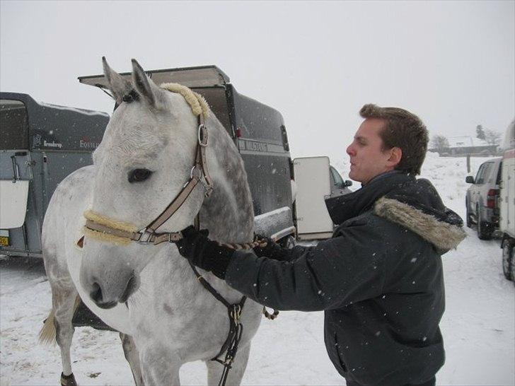 Fuldblod (XX) Migthy Alfred - Alfred sammen med min kæreste i Egum til hans første stævne <3 billede 9