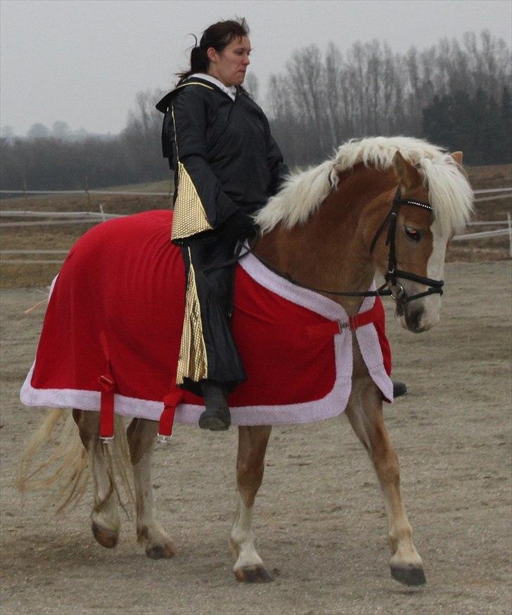 Anden særlig race Amanda solgt billede 14