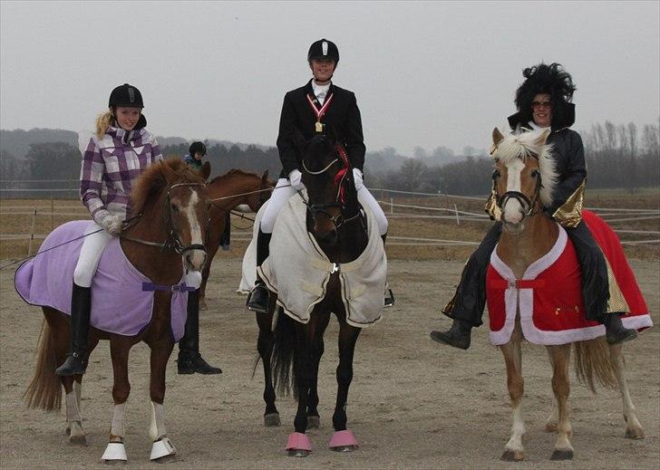 Anden særlig race Amanda solgt billede 15