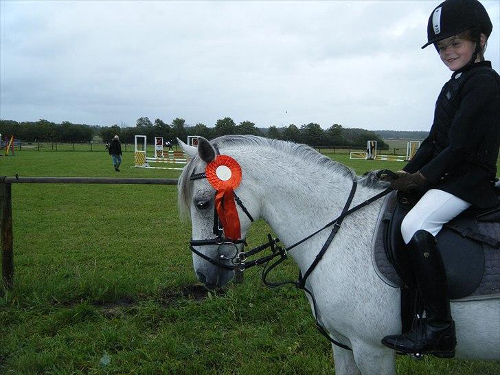 Hollandsk Sportspony *Jarka* (Jackie) Solgt:-( - Mig og Jackie i Rind :J billede 16