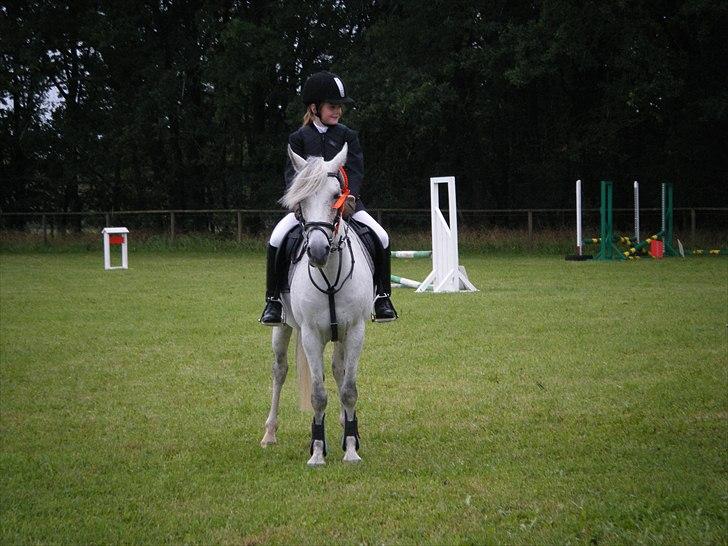 Hollandsk Sportspony *Jarka* (Jackie) Solgt:-( - Præmieoverrækkelse, i Rind:-*<3 billede 17