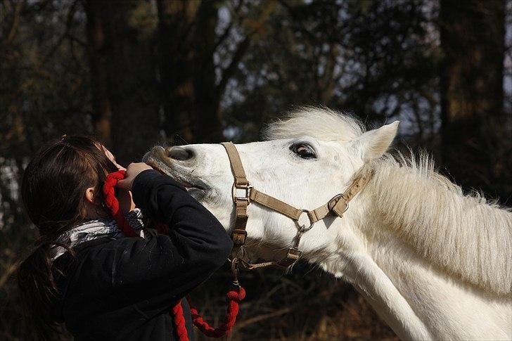 Anden særlig race Augusta :) (tidl pony,solgt) - >>´ At smile på kommando,<3 du så dygtig powny

foto : fanny
 billede 3