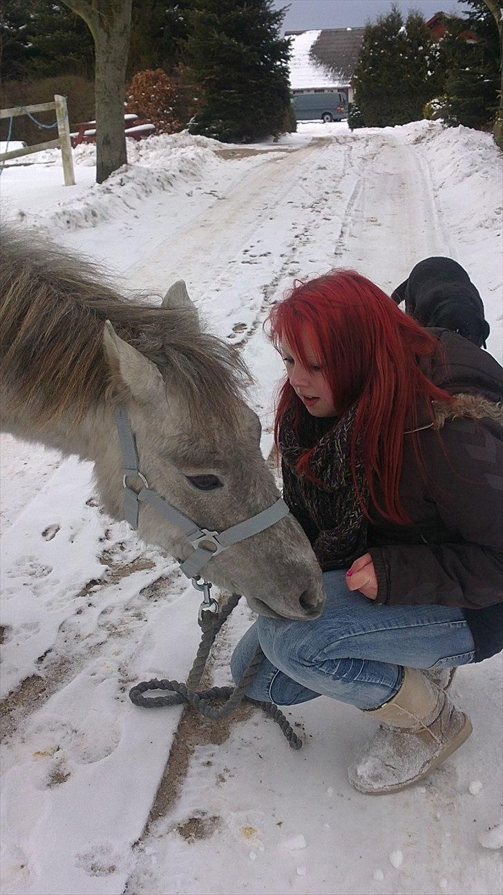 Anden særlig race Breaking Dawn * solgt :' * - min baby´prinsesse ! :D billede 13