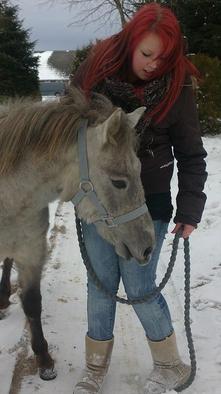 Anden særlig race Breaking Dawn * solgt :' * billede 15