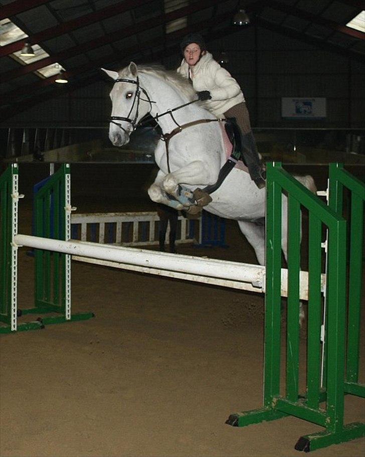 Dansk Varmblod La Troya ( solgt ) - træning d. 28/2-2011 billede 20