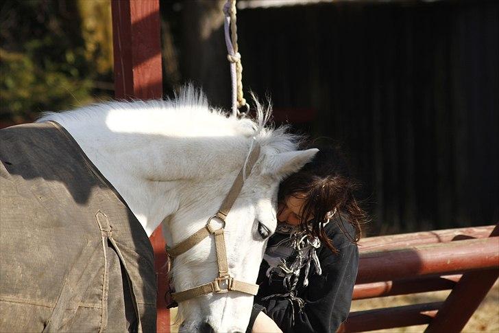 Anden særlig race Augusta :) (tidl pony,solgt) - >>´ nurh<3 jeg elsker dig af hele mig :I

foto : fanny billede 7