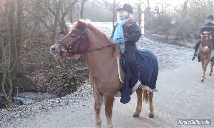 Anden særlig race Otto  - velkommen till Otto,s profil:) billede 1