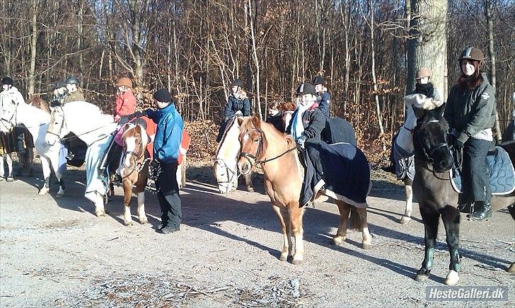 Anden særlig race Otto  - vi er på tur i vesterskoven billede 2