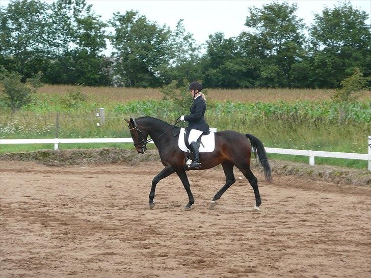 Anden særlig race Kroghgårds Luna billede 11