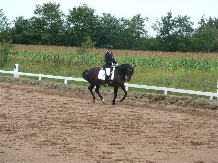 Anden særlig race Kroghgårds Luna billede 12