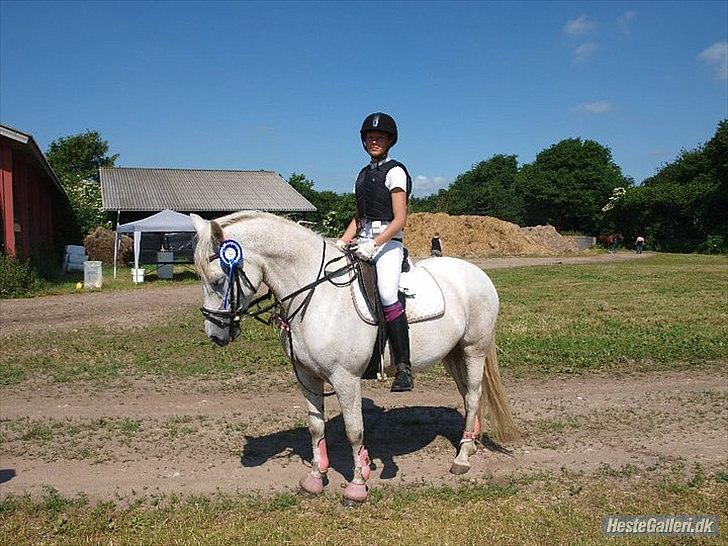 Anden særlig race Laura min prinsesse:) solgt billede 9