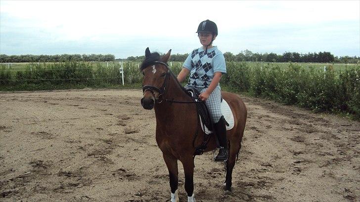 Anden særlig race Buster - Sommeren 2010, Birkelse. Henrik Nøhr billede 10