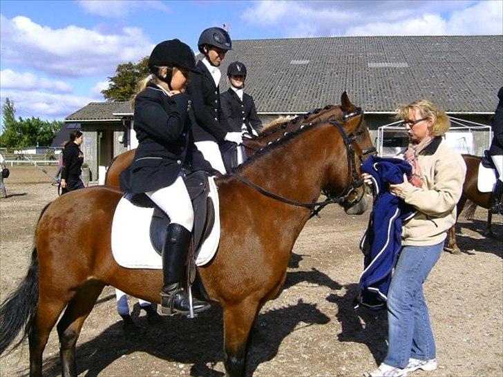Anden særlig race Buster - Lille Buster med det store potientale billede 11