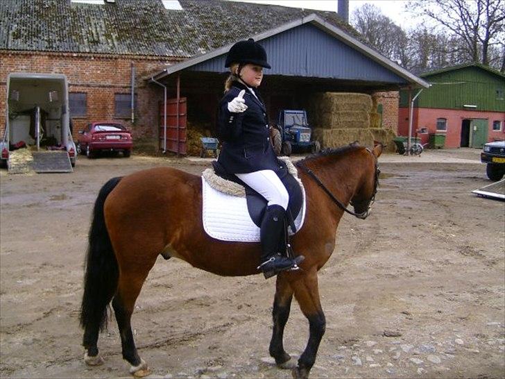 Anden særlig race Buster - Dronninglund 2009 billede 13