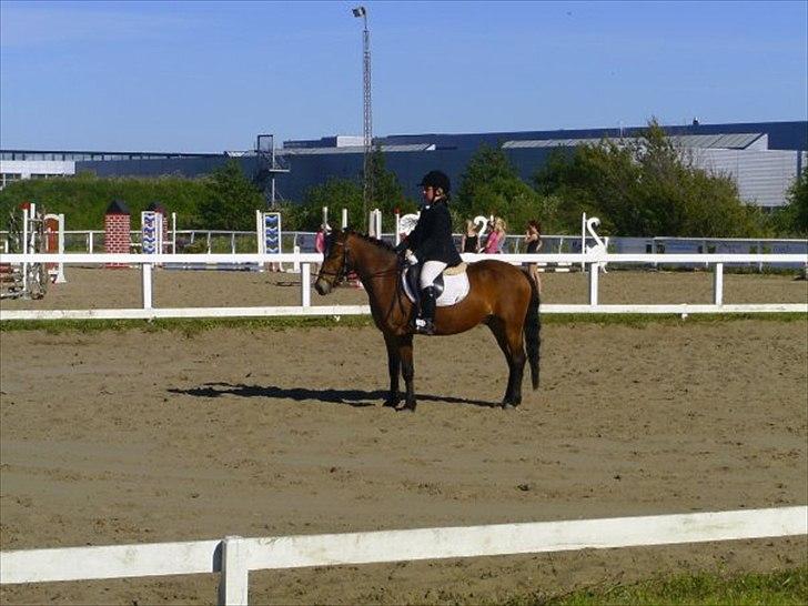 Anden særlig race Buster - Jetsmark 2008 billede 14