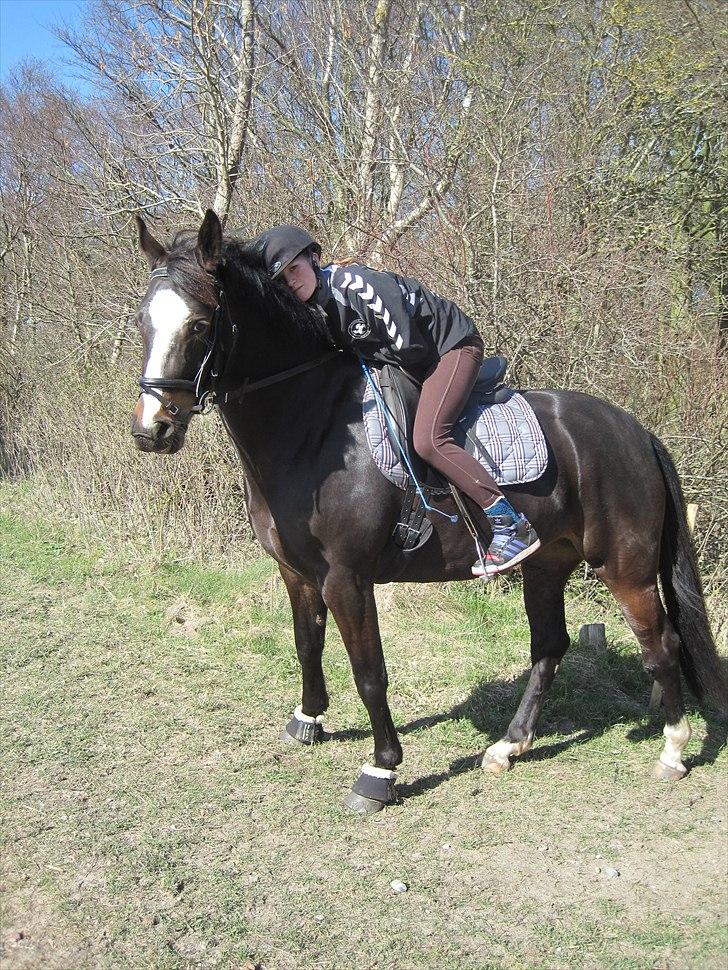 Anden særlig race Houmgaards Shakira<3. - På en lille tur. billede 2