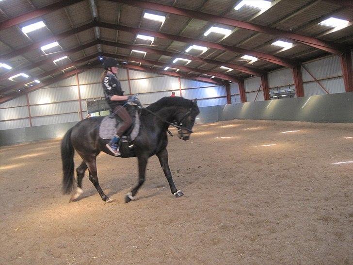 Anden særlig race Houmgaards Shakira<3. - Ride dressur. billede 5