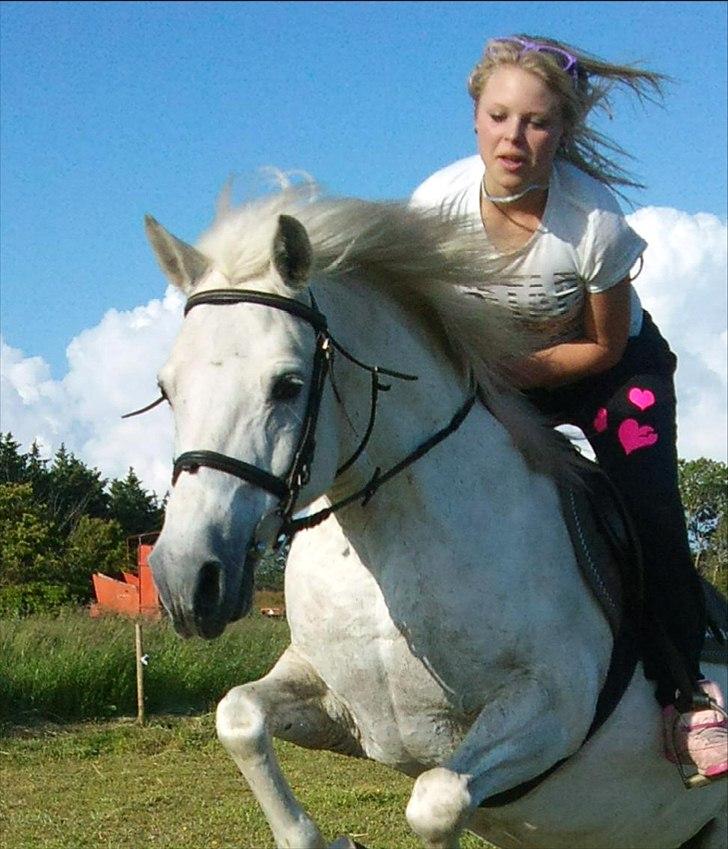 Anden særlig race Aslan. billede 10