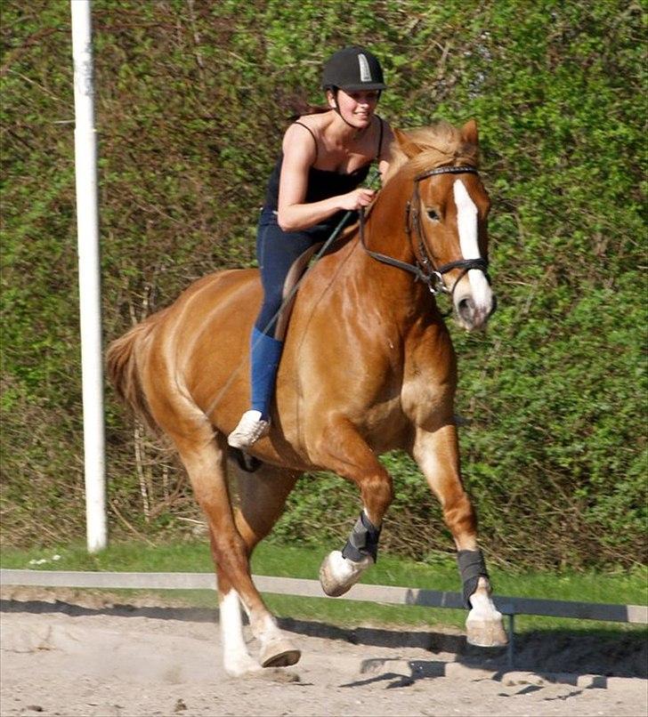 Anden særlig race Casmir (part) - wuhuuu fuld fart fremad! :D billede 6