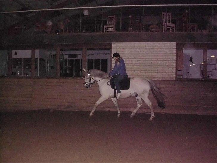 Anden særlig race Bolero (opsagt) - jaja han kan gå fint <3 Rytter: Mig foto: Sisse billede 6