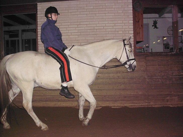 Anden særlig race Bolero (opsagt) - afslappene... Foto: mig billede 7