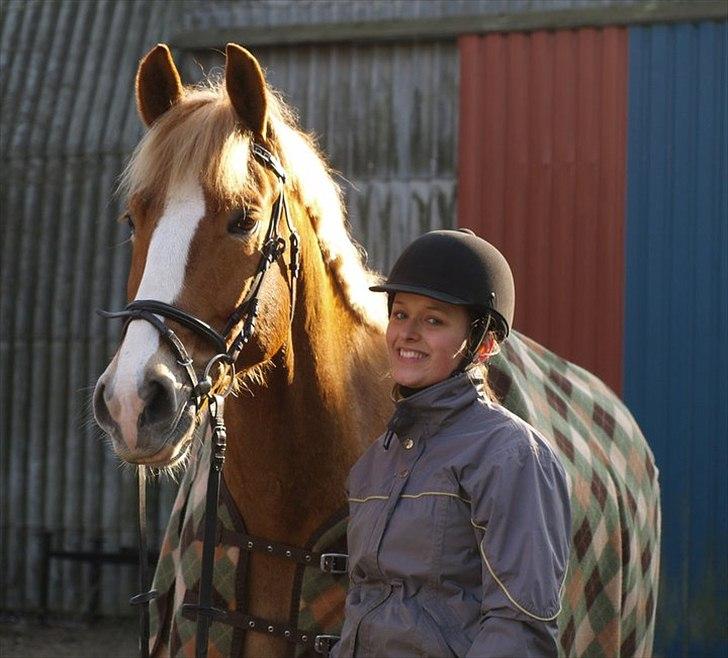 Anden særlig race Casmir (part) billede 10