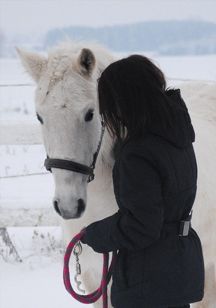 Pura Raza Española Blanca - Et billede ingen ord kan beskrive!! <3 - Foto: Kathrine Frosted billede 16