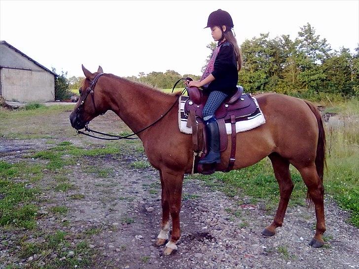 Quarter Skips Bu   *R.I.P* billede 11