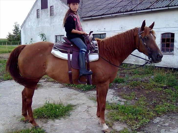 Quarter Skips Bu   *R.I.P* billede 12