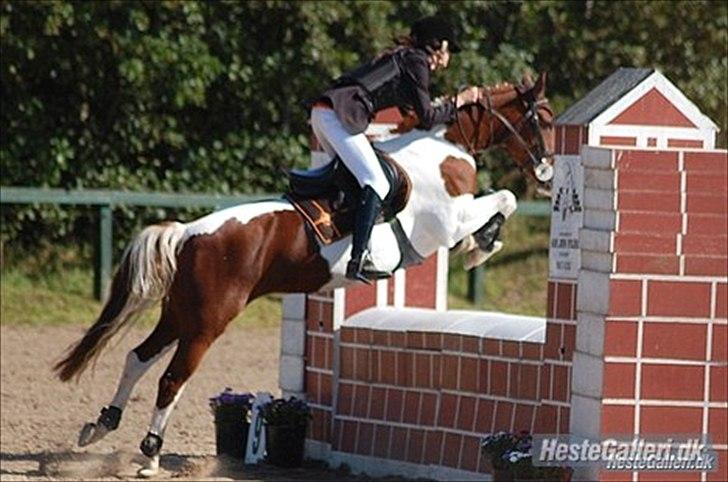 Pinto Scarlett - B-pony - Scarlett&Amalie (hendes gamle ejer) flyvende stil over mur!(: billede 4