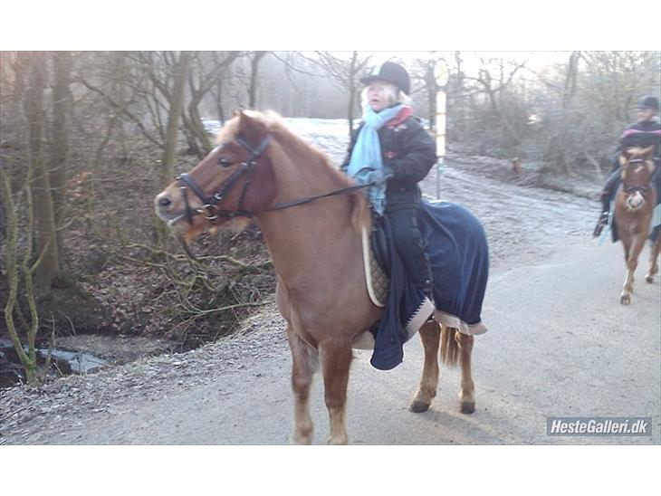 {{currentPhoto.altText}} billede {{currentPhoto.number}}