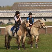 Fjordhest GRRK's Josefine [Tidl. Part]:'(<3