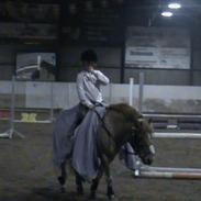 Anden særlig race Christian. [Tidl Hest] Savner ham:'( <3 :')